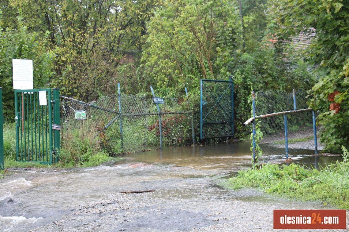 Zalana droga, zalane działki