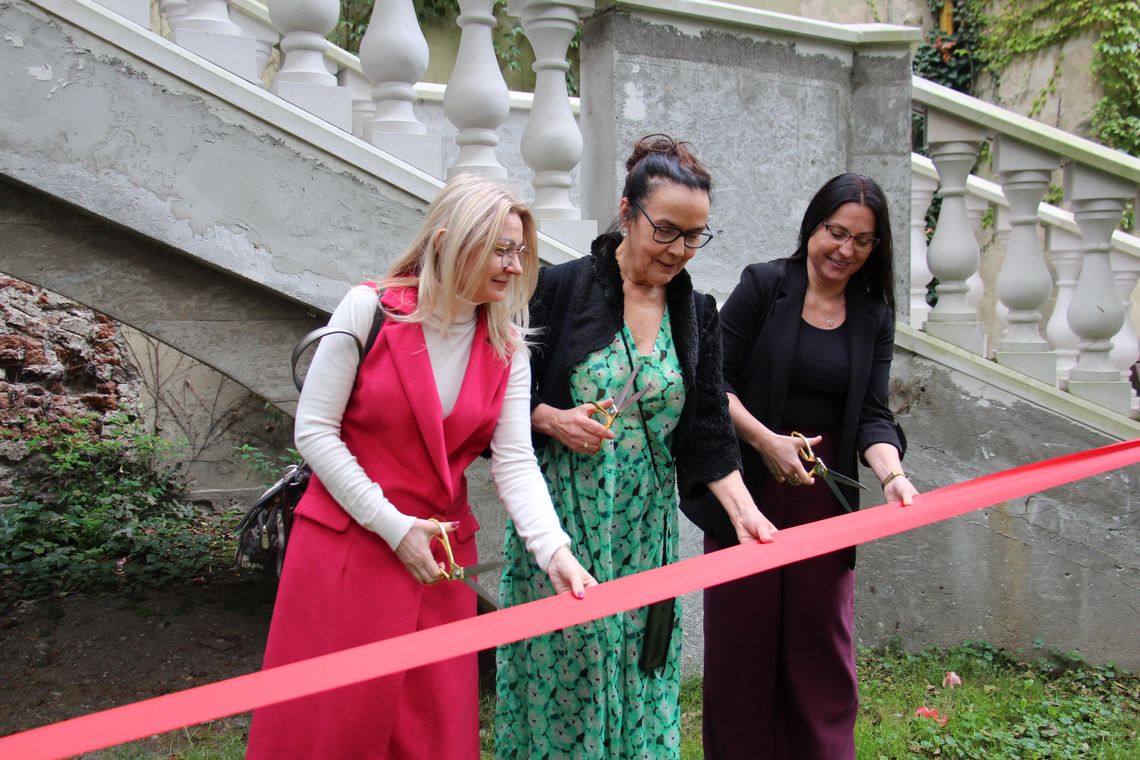 Zamek w Dobroszycach pokazał nowy projekt