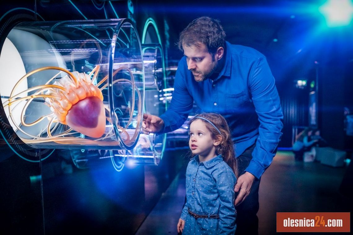 Zanurz się w morskie głębiny w Hydropolis Zanurz się w morskie głębiny w Hydropolis