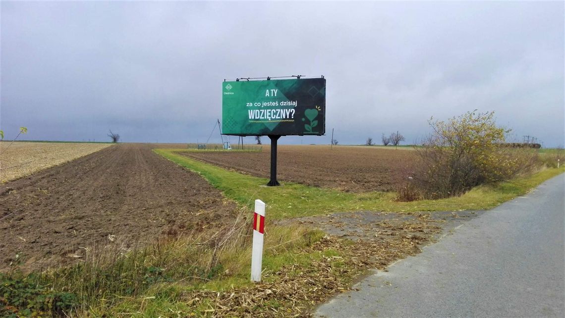 Zaskakujący witacz na wjeździe do Oleśnicy Zaskakujący witacz na wjeździe do Oleśnicy