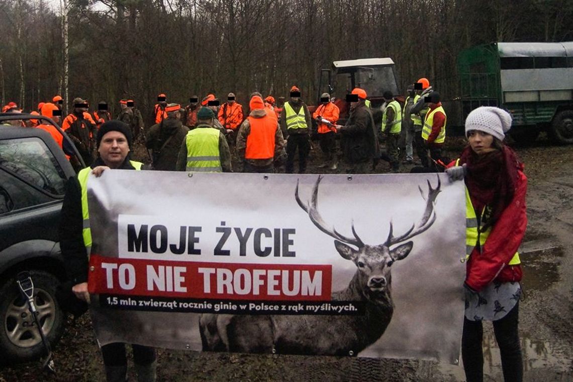 Zatrzymali polowanie myśliwych z Oleśnicy