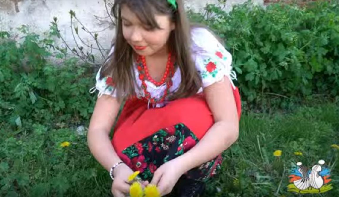 Zdrowie z Liścia – mniszek i melisa (WIDEO)