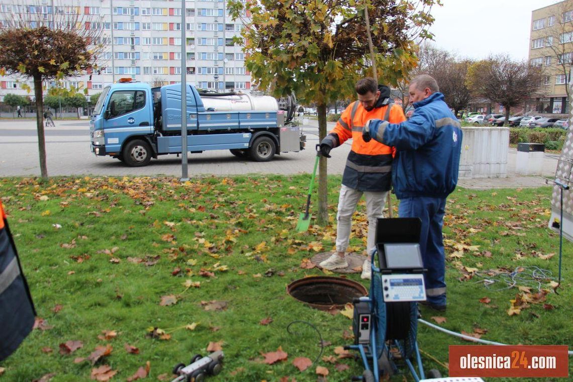 Zlokalizowano przyczynę zalewania piwnic w Oleśnicy