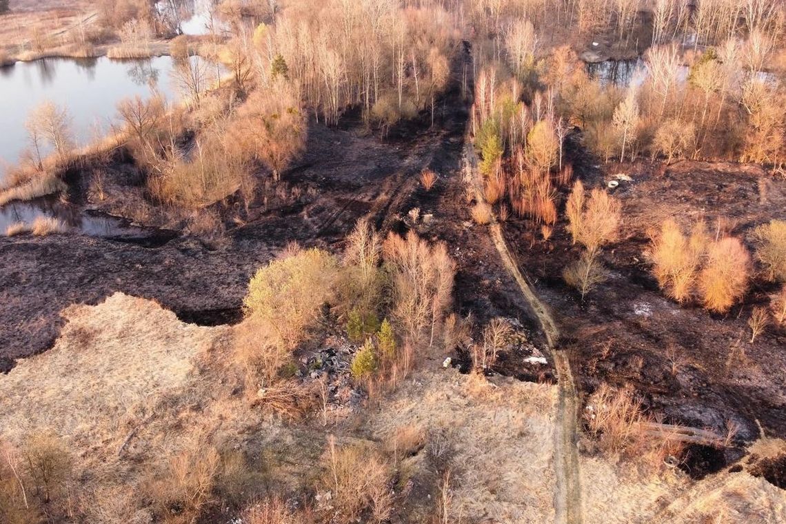 Znowu pożar suchej trawy