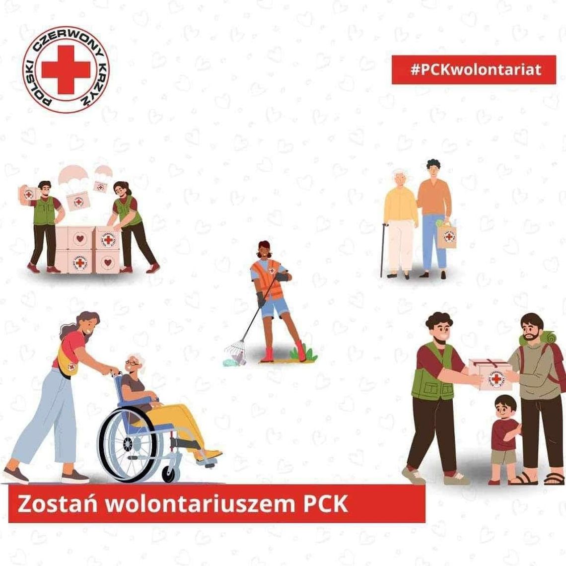 Zostań wolontariuszem Polskiego Czerwonego Krzyża