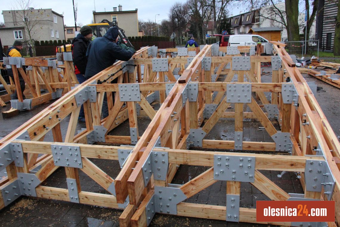 Żuraw na stawach w Oleśnicy