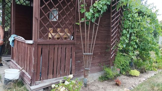 Sprzedam działkę ogrodową przy ul.Wileńskiej Sprzedam działkę ogrodową przy ul.Wileńskiej