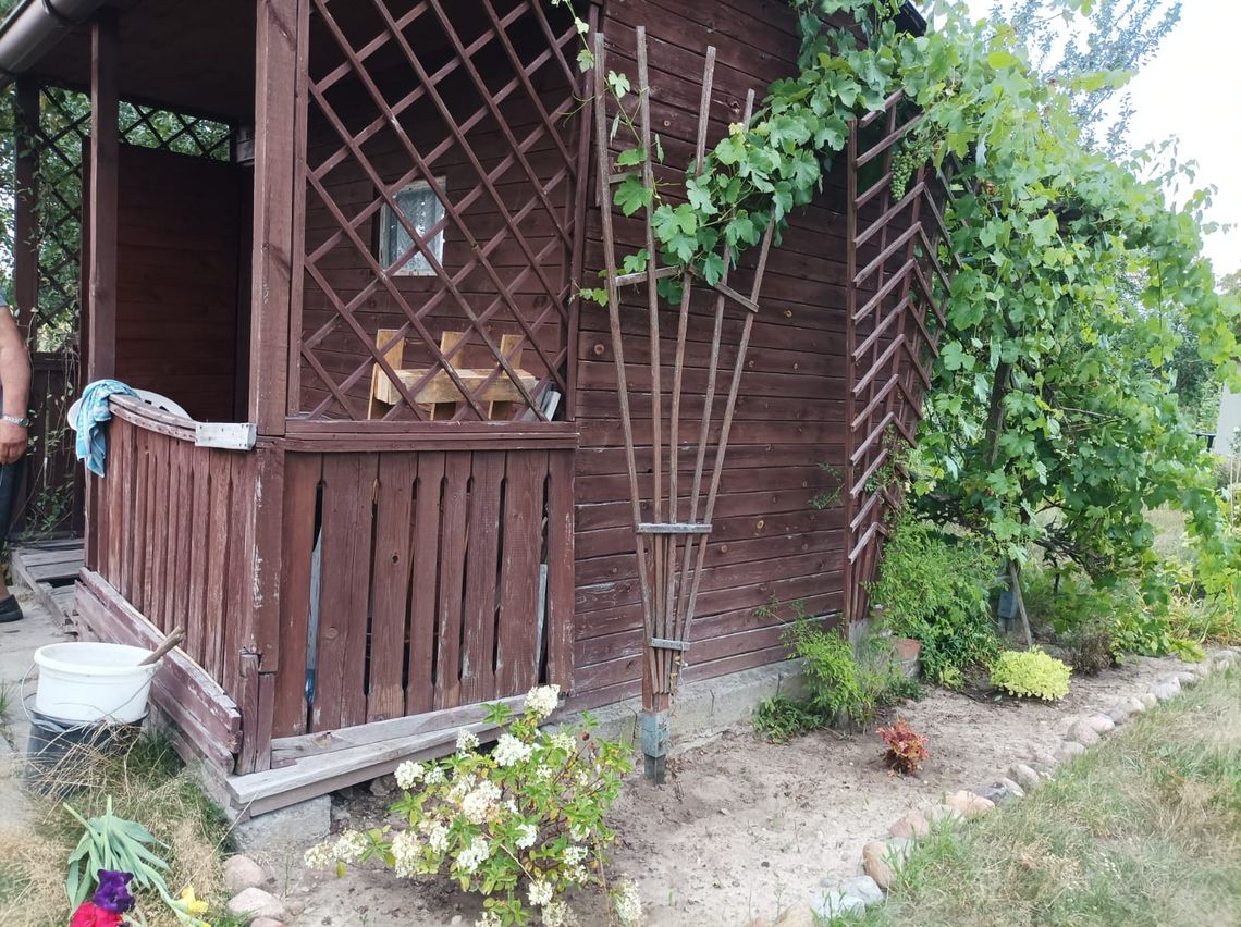 Sprzedam działkę ogrodową przy ul.Wileńskiej