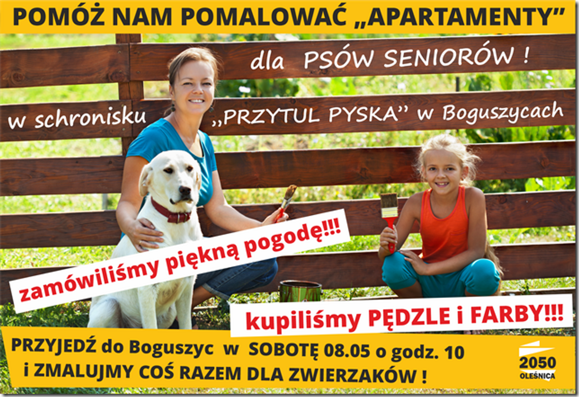 Pomóż nam pomalować apartamenty dla psów seniorów w Schronisku "Przytul pyska" w Boguszycach Pomóż nam pomalować apartamenty dla psów seniorów w Schronisku "Przytul pyska" w Boguszycach