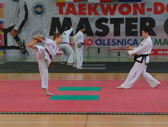 Taekwon-do Master Cup