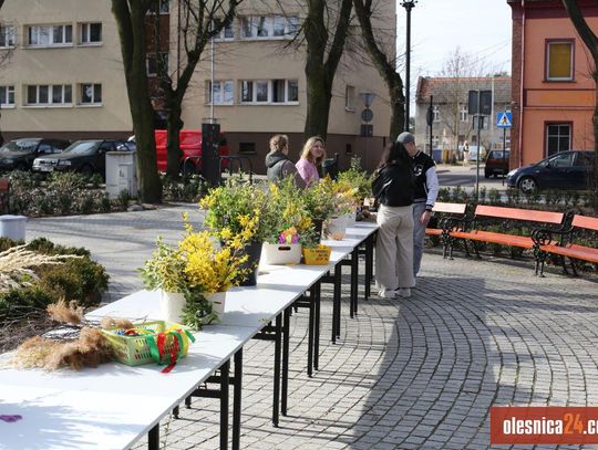 Przedszkolaki tworzą palmy w sercu Twardogóry