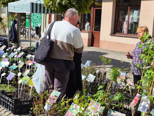Oleśnicki Festiwal Kwiatów