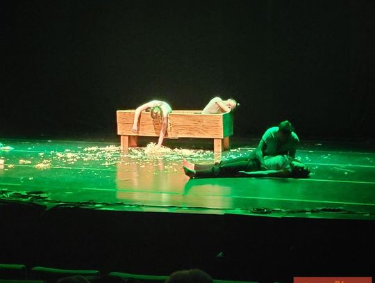 Festiwal Teatrów Tańca Współczesnego "Momentum"