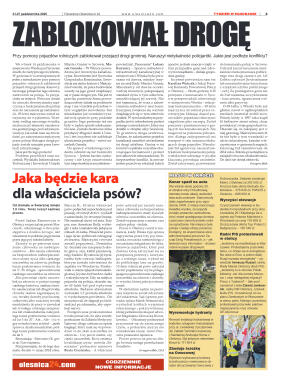 Panorama Oleśnicka nr 42 z 21 października 2025 - strona 3