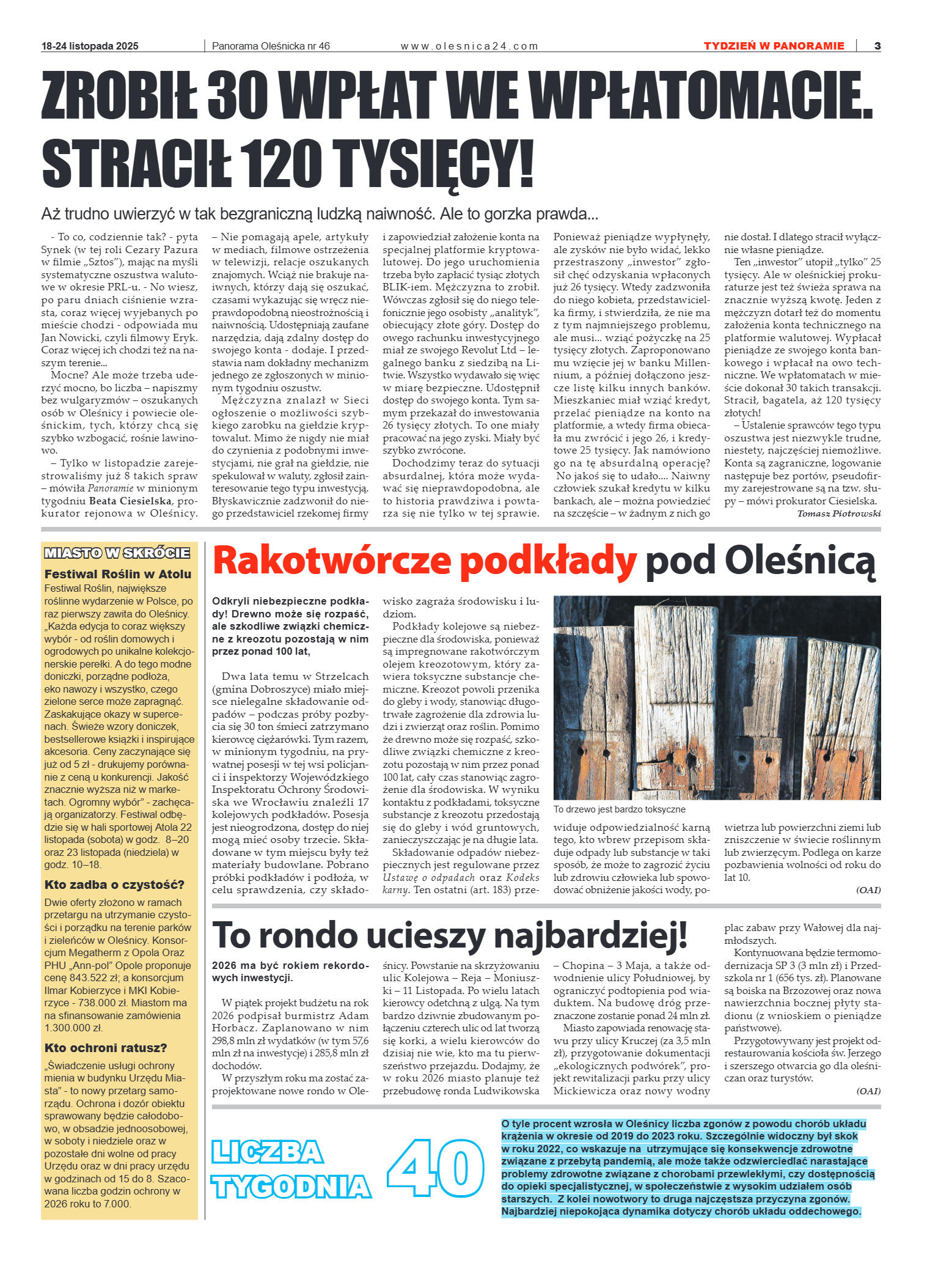 Panorama Oleśnicka nr 46 z 18 listopada 2025 - strona 3