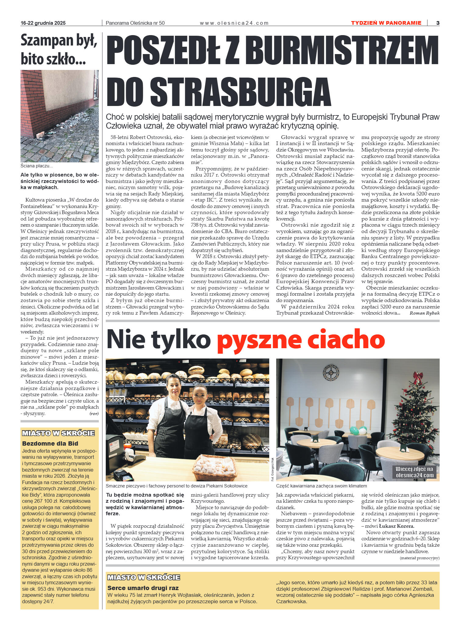 Panorama Oleśnicka nr 50 z 16 grudnia 2025 - strona 3