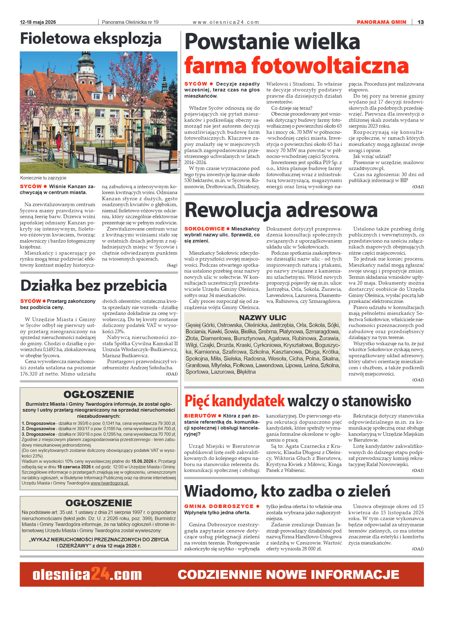 Panorama Oleśnicka nr 19 z 12 maja 2026 - strona 13