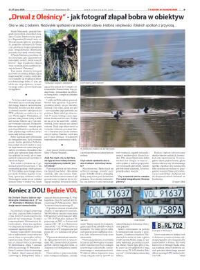 Panorama Oleśnicka nr 29 z 21 lipca 2026 - strona 9