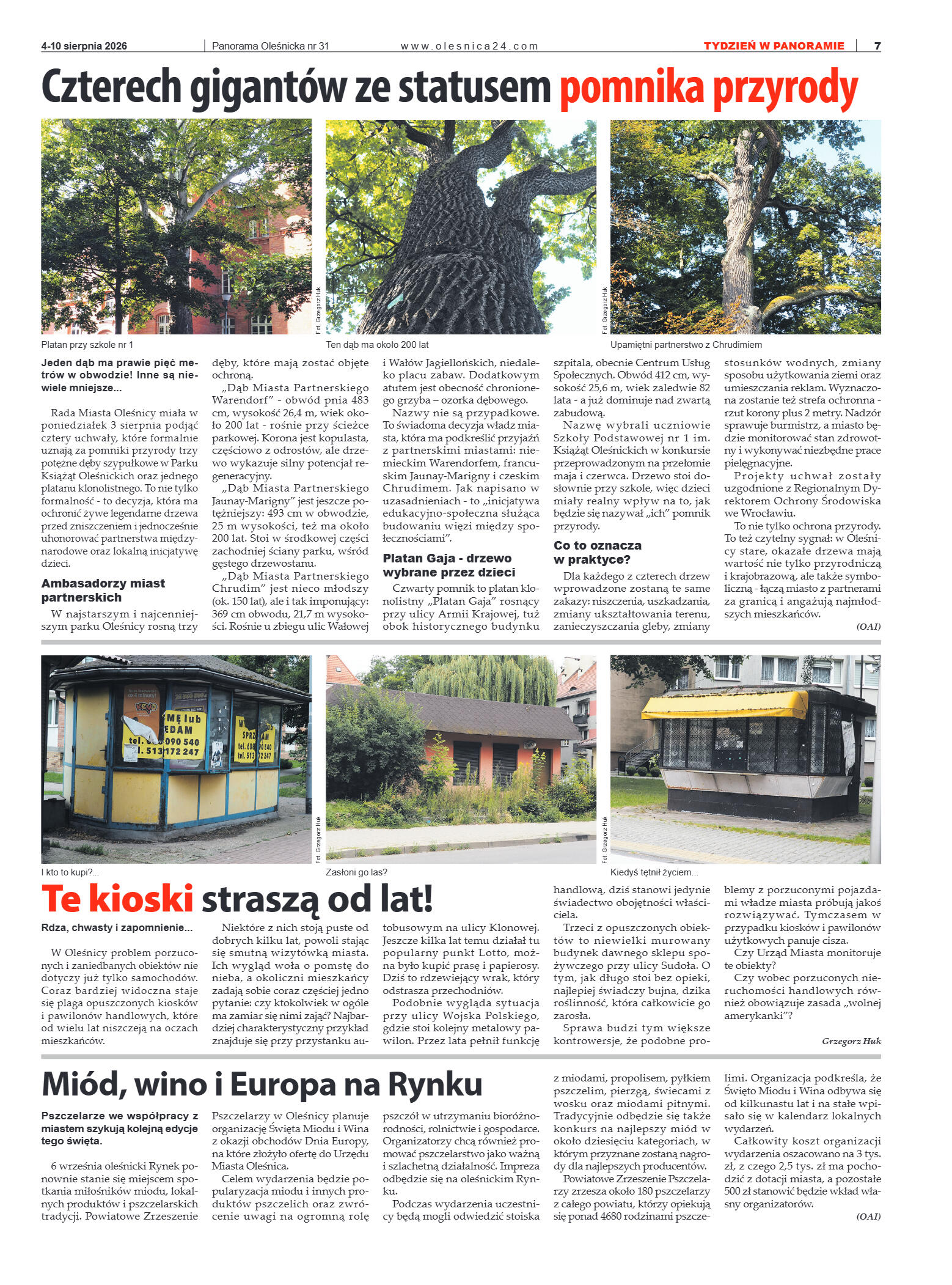 Panorama Oleśnicka nr 31 z 4 sierpnia 2026 - strona 7