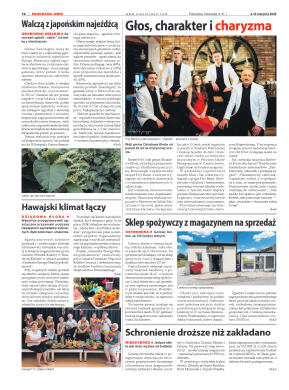 Panorama Oleśnicka nr 31 z 4 sierpnia 2026 - strona 12