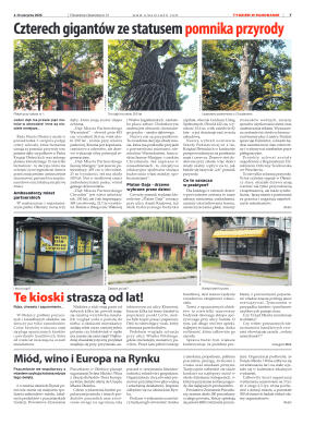 Panorama Oleśnicka nr 31 z 4 sierpnia 2026 - strona 7