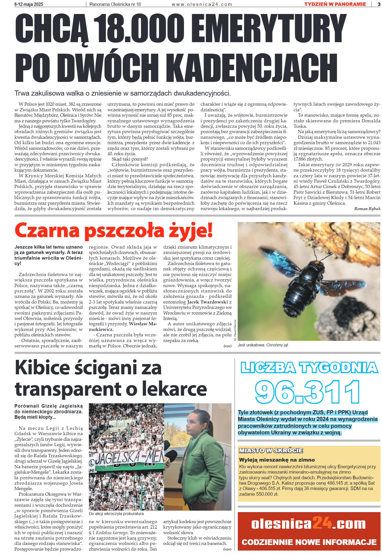 Panorama Oleśnicka nr 18 z 6 maja 2025 - strona 3