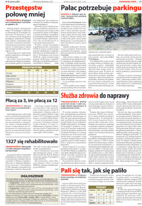 Panorama Oleśnicka nr 25 z 24 czerwca 2025 - strona 11